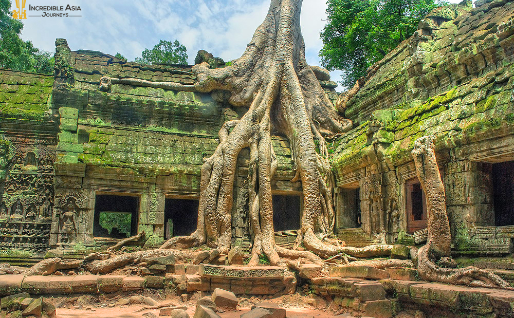 Ta Prohm